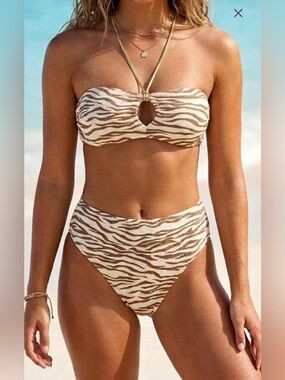 Aerie Zebra Print Bikini Sz Large